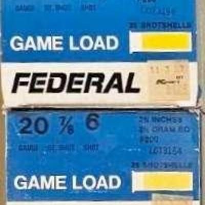 2 Boxes of Federal 20 GA Game Load