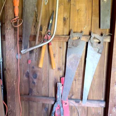 Assortment of American Ash and Telescopic Saws and Trimmers 