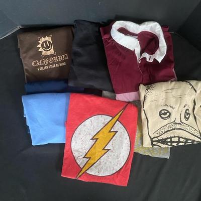 Short & Long Sleeve Shirts Youth Size 10-12 Featuring Flash DC Comics