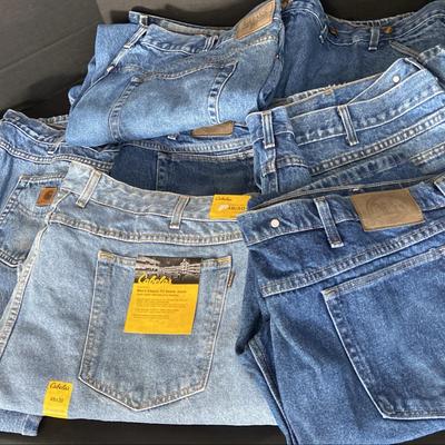 Men’s 48 X 30 Carhartts, Chaps, Cabela’s Jeans