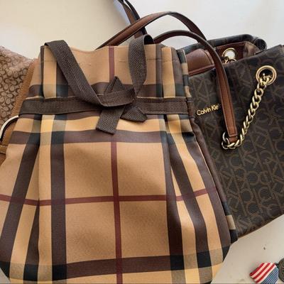 Lot 521: Coach, Calvin Klein, and Lou Wang purses