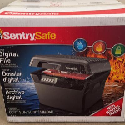 Lot 539: Sentry Safe