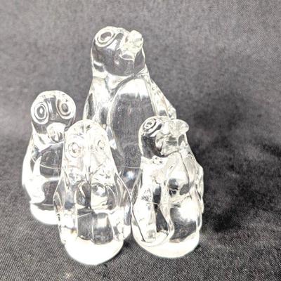 Big Eyed Glass Penguins 