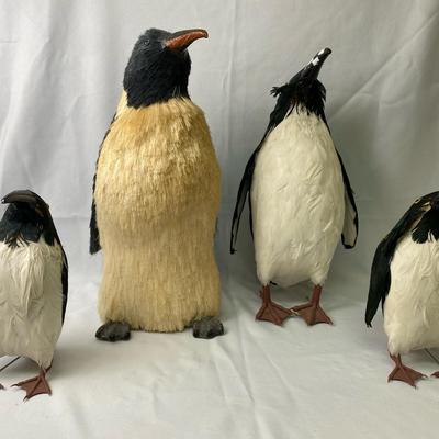 Tall Penguins 