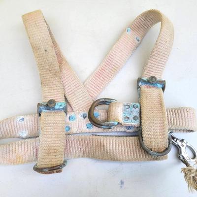 Custom Made Commercial Diving Light Gear Adjustable Harness
