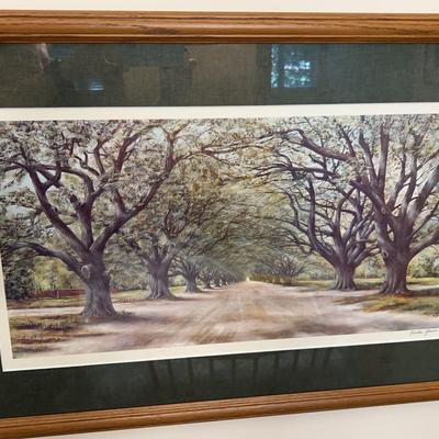 Framed Mike Jones "Boundary Oaks" Limited Edition Print with COA
