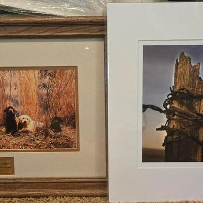 Framed Photographs