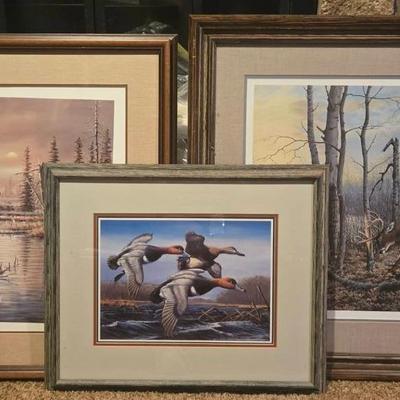 Wildlife Prints 