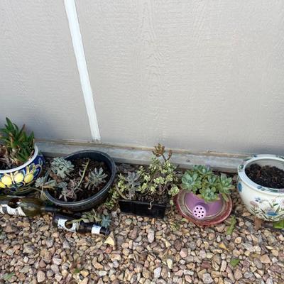Sale Photo Thumbnail #235