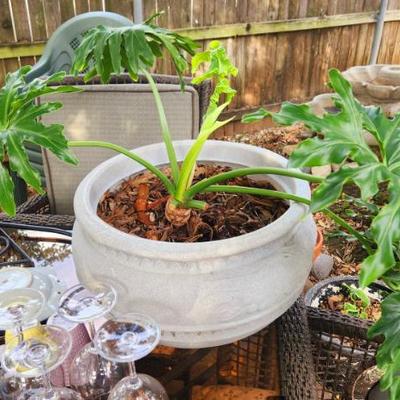 Sale Photo Thumbnail #899