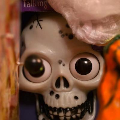 Sale Photo Thumbnail #273