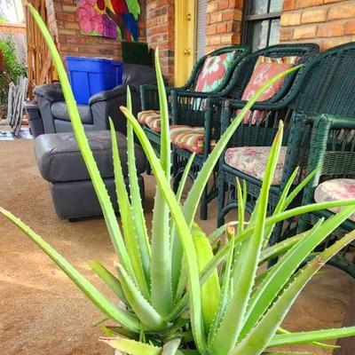 Sale Photo Thumbnail #871