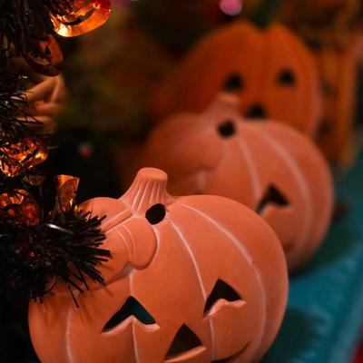 Sale Photo Thumbnail #310