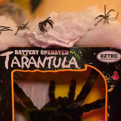 Sale Photo Thumbnail #269