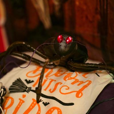 Sale Photo Thumbnail #348