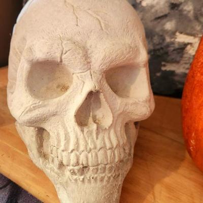 Sale Photo Thumbnail #814