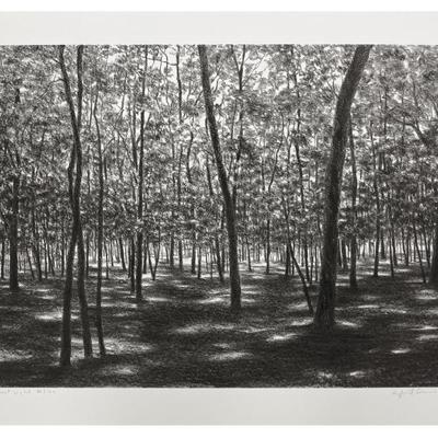 Sale Photo Thumbnail #93