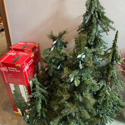 Christmas Trees 