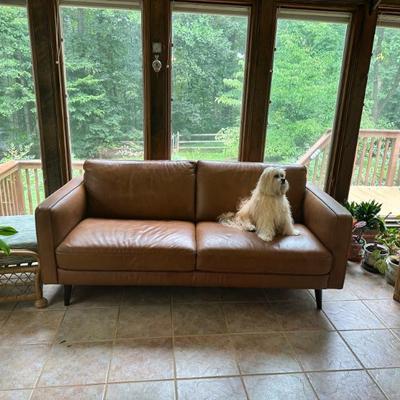 Sale Photo Thumbnail #33