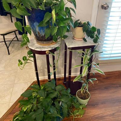 Marble Plant Stands & Plants 