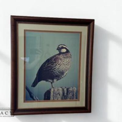 Sale Photo Thumbnail #37