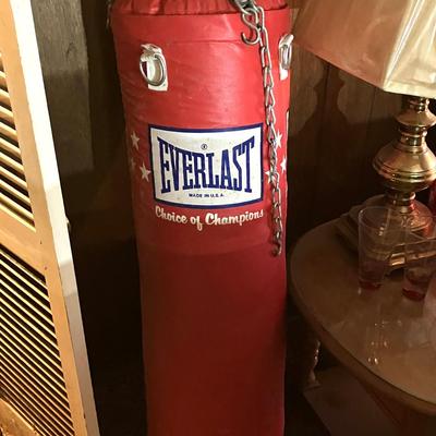 Everlast Punching Bag
