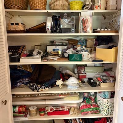 Mystery “Catch All” Closet Lot