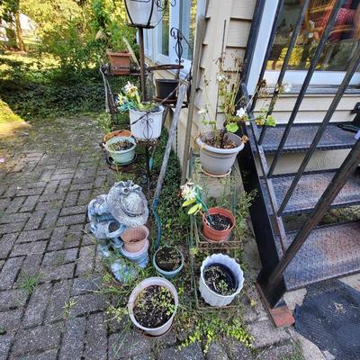 Sale Photo Thumbnail #257
