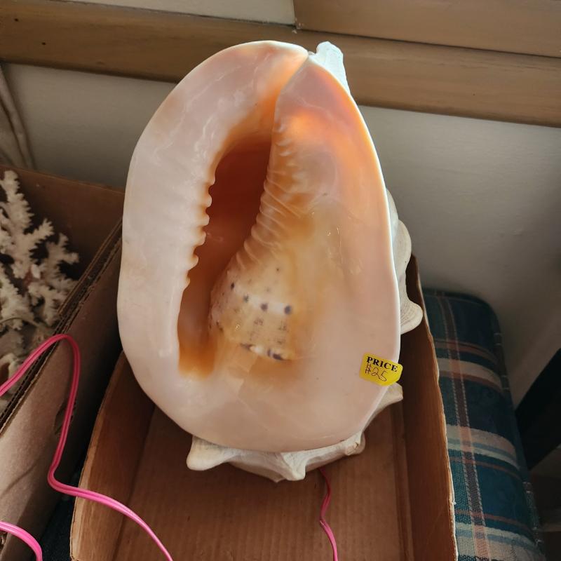 Sale Photo Thumbnail #38