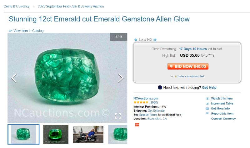 Sale Photo Thumbnail #11