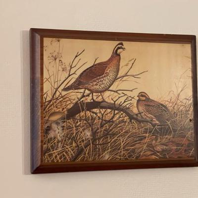 Sale Photo Thumbnail #567