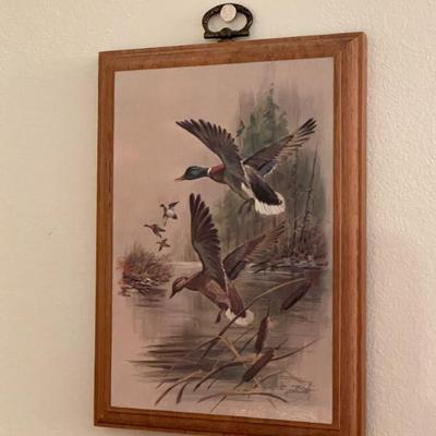 Sale Photo Thumbnail #588