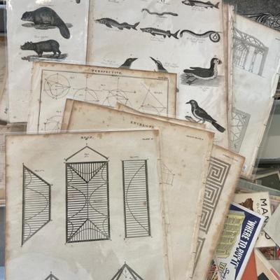 Sale Photo Thumbnail #440
