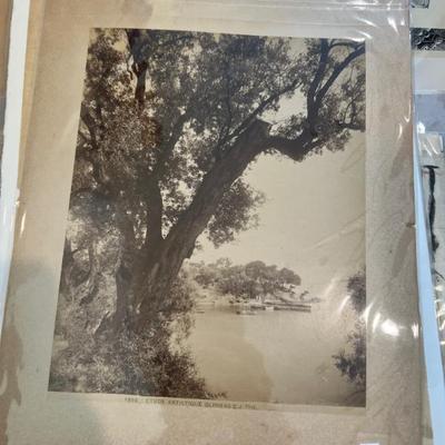 Sale Photo Thumbnail #480