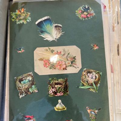 Sale Photo Thumbnail #360