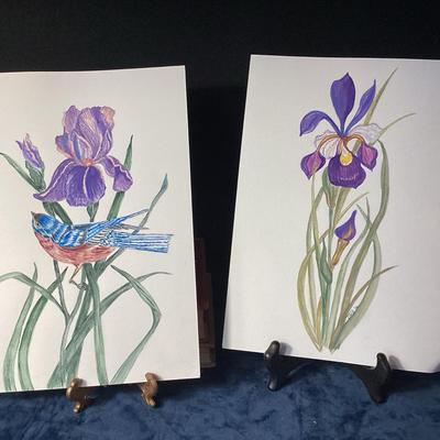 Iris's and Blue Bird