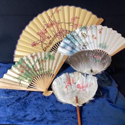 Feather Fans