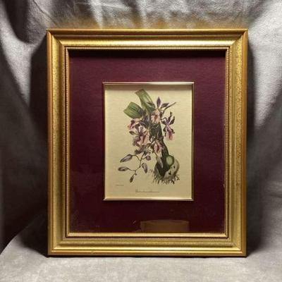Artwork S. Holden Flowers-Orchid