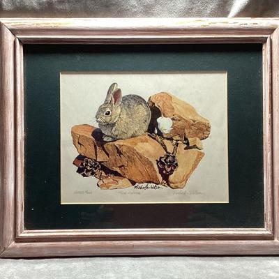 Herbert W. Wilson "VIRGINIA COTTONTAIL" AP