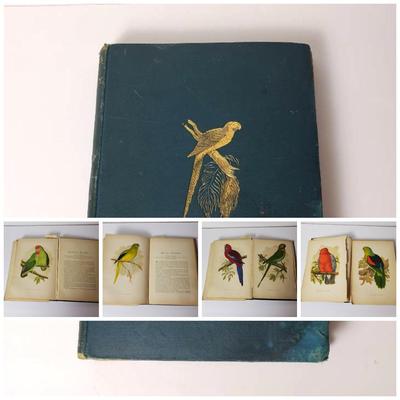 Parrots In Captivity Vol. 1, With 22 Colored Plates, W.T. Greene - 1800s