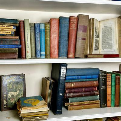 Vintage Text Books, German Language Books, Geography, More