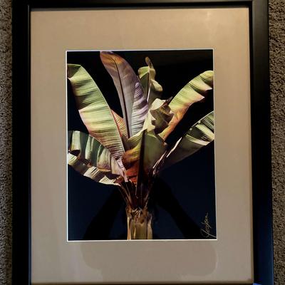 Tropical Print-Signed by Artist 