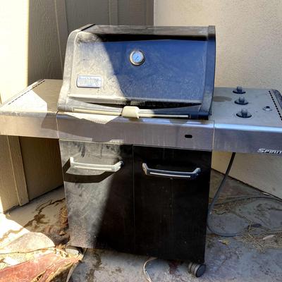 Weber brand Barbecue-Propane