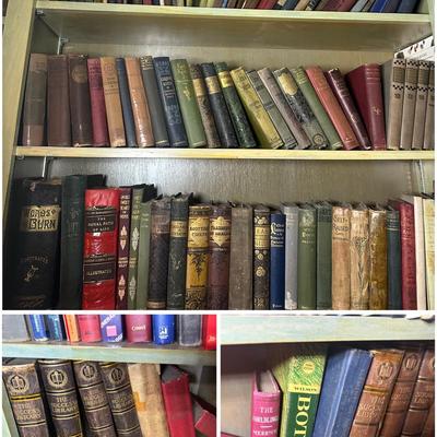 Four Shelves of Vintage & Antique Books
