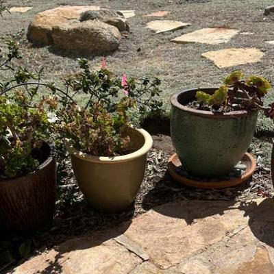 Pr141 pot set 2