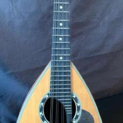 Pr110v vintage degas mandolin
