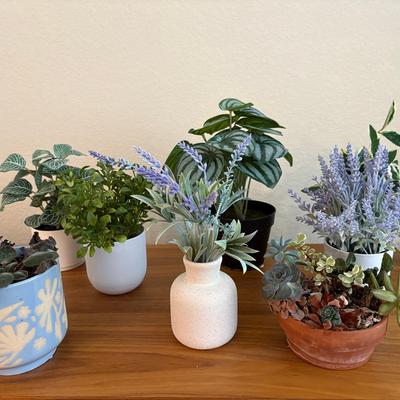 Faux Plants & African Violet