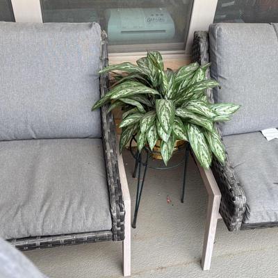 Outdoor Wicker Chairs