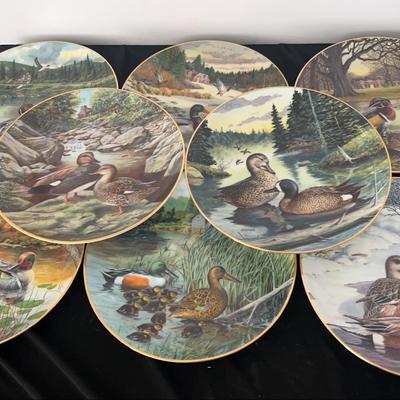 Bradford Exchange Living With Nature: Jerners Ducks plate collection