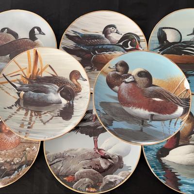 American water, birds plate collection by the Hamilton
